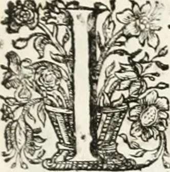 An illustration from Magnus in ortu; maximus in meridie; major in occasu : semperque serenissimus principum sol Maximilianus Emanuel, utr. Bav. & Palat. Sup. Dux., Com. Pal. Rheni, S.R. Imp. Archidap. & Elector, Landr. Leucht. &c., seu, Apparatus funebris litterarius extremis honoribus ejusdem Serenmi. ac Potentissimi Princ. Electoris adornatus, cùm in Elect. Templo Cler. Reg. solennes exequiae eidem piissimè defuncto electori celebrarentur, 1727, leaf 32
