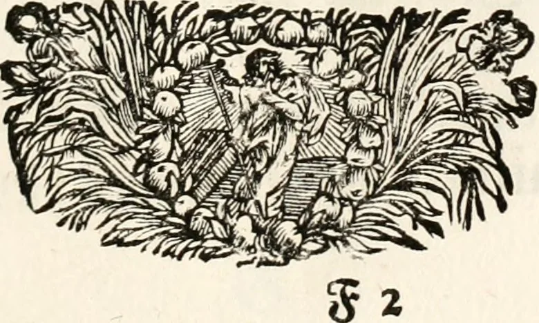 An illustration from Magnus in ortu; maximus in meridie; major in occasu : semperque serenissimus principum sol Maximilianus Emanuel, utr. Bav. & Palat. Sup. Dux., Com. Pal. Rheni, S.R. Imp. Archidap. & Elector, Landr. Leucht. &c., seu, Apparatus funebris litterarius extremis honoribus ejusdem Serenmi. ac Potentissimi Princ. Electoris adornatus, cùm in Elect. Templo Cler. Reg. solennes exequiae eidem piissimè defuncto electori celebrarentur, 1727, leaf 50