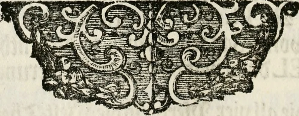 An illustration from Magnus in ortu; maximus in meridie; major in occasu : semperque serenissimus principum sol Maximilianus Emanuel, utr. Bav. & Palat. Sup. Dux., Com. Pal. Rheni, S.R. Imp. Archidap. & Elector, Landr. Leucht. &c., seu, Apparatus funebris litterarius extremis honoribus ejusdem Serenmi. ac Potentissimi Princ. Electoris adornatus, cùm in Elect. Templo Cler. Reg. solennes exequiae eidem piissimè defuncto electori celebrarentur, 1727, leaf 79