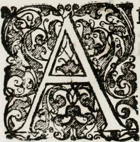 An illustration from Magnus in ortu; maximus in meridie; major in occasu : semperque serenissimus principum sol Maximilianus Emanuel, utr. Bav. & Palat. Sup. Dux., Com. Pal. Rheni, S.R. Imp. Archidap. & Elector, Landr. Leucht. &c., seu, Apparatus funebris litterarius extremis honoribus ejusdem Serenmi. ac Potentissimi Princ. Electoris adornatus, cùm in Elect. Templo Cler. Reg. solennes exequiae eidem piissimè defuncto electori celebrarentur, 1727, leaf 9