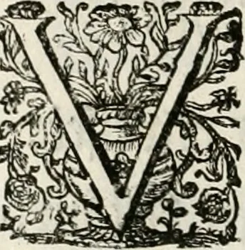An illustration from Magnus in ortu; maximus in meridie; major in occasu : semperque serenissimus principum sol Maximilianus Emanuel, utr. Bav. & Palat. Sup. Dux., Com. Pal. Rheni, S.R. Imp. Archidap. & Elector, Landr. Leucht. &c., seu, Apparatus funebris litterarius extremis honoribus ejusdem Serenmi. ac Potentissimi Princ. Electoris adornatus, cùm in Elect. Templo Cler. Reg. solennes exequiae eidem piissimè defuncto electori celebrarentur, 1727, leaf 97