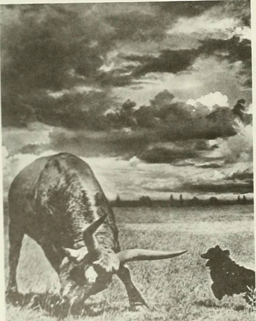 An illustration from A Magyarországi művészet története, 1900, leaf 219
