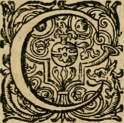 An illustration from Michaelis Majeri Viatorium, hoc est, De montibvs planetarvm septem seu metallorum : tractatus tam utilis, quàm perspicuus, quo, ut indice mercuriali in triviis, vel Ariadnêo filo in labyrintho, seu cynosurâ in oceano chymicorum errorum immenso, quilibet rationalis, veritatis amans, ad illum, qui inmontibus sese abdidit De Rubea-petra Alexicacum, omnibus medicis desideratum, investigandum, uti poterit, 1618, leaf 14