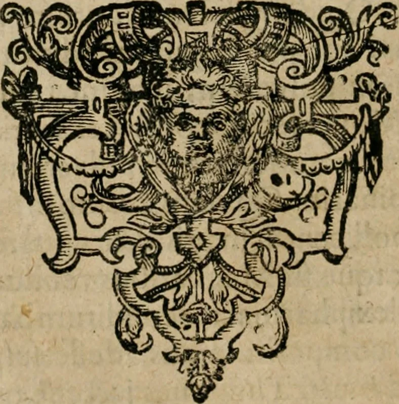 An illustration from Michaelis Majeri Viatorium, hoc est, De montibvs planetarvm septem seu metallorum : tractatus tam utilis, quàm perspicuus, quo, ut indice mercuriali in triviis, vel Ariadnêo filo in labyrintho, seu cynosurâ in oceano chymicorum errorum immenso, quilibet rationalis, veritatis amans, ad illum, qui inmontibus sese abdidit De Rubea-petra Alexicacum, omnibus medicis desideratum, investigandum, uti poterit, 1618, leaf 141