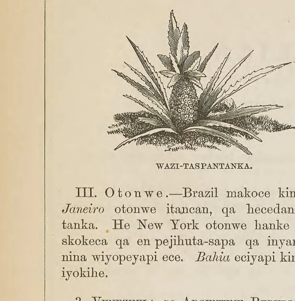 An illustration from Maka-oyakapi. Guyot's Elementary geography, in the Dakota language, 1876, leaf 62