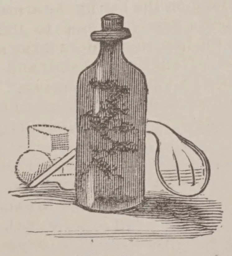 An illustration from The Make and mend club. A story of boys' adventures, sports and experiments, 1883, leaf 81