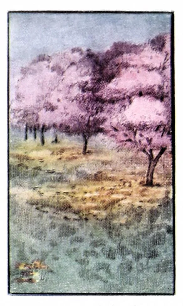 An illustration from Making home homelike : a hand-book on ways and means of decorating and beautifying the home., 1920, leaf 22