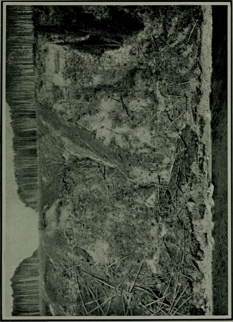 An illustration from The making of a great Canadian railway ; the story of the search for and discovery of the route, and the construction of the nearly completed Grand Trunk Pacific Railway from the Atlantic to the Pacific, with some account of the hardships and stirring adventures of its constructors in unexplored country, 1912, leaf 354