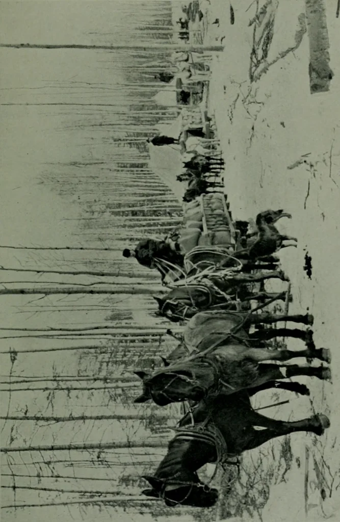 An illustration from The making of a great Canadian railway ; the story of the search for and discovery of the route, and the construction of the nearly completed Grand Trunk Pacific Railway from the Atlantic to the Pacific, with some account of the hardships and stirring adventures of its constructors in unexplored country, 1912, leaf 62