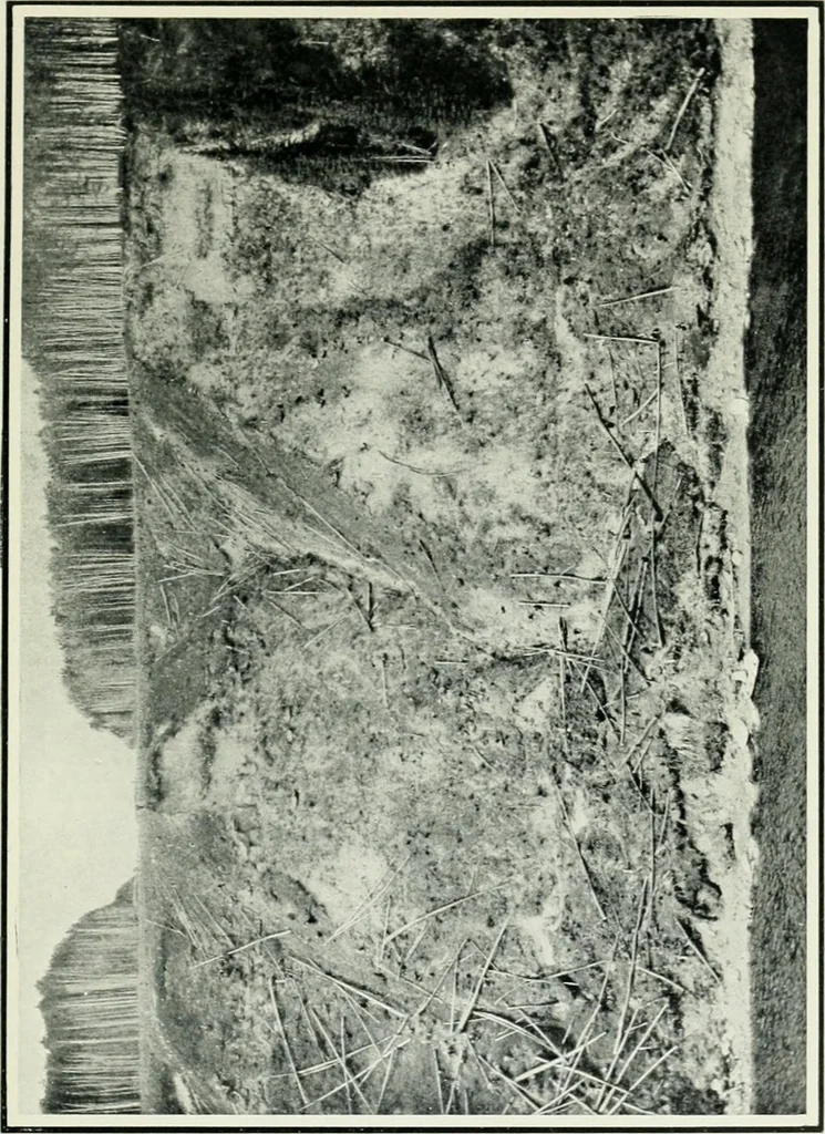 An illustration from The making of a great Canadian railway; the story of the search for and discovery of the search for and discovery of the route, and the constru ction of the nearly completed Grand trunk Pacific railway from the Atlantic to the Pacific, with some account of the hardships and stirring adventures of its constructors in unexplored country, 1912, leaf 356
