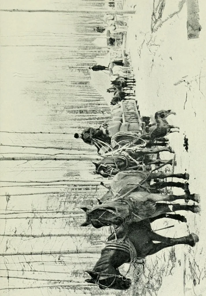 An illustration from The making of a great Canadian railway; the story of the search for and discovery of the search for and discovery of the route, and the constru ction of the nearly completed Grand trunk Pacific railway from the Atlantic to the Pacific, with some account of the hardships and stirring adventures of its constructors in unexplored country, 1912, leaf 66