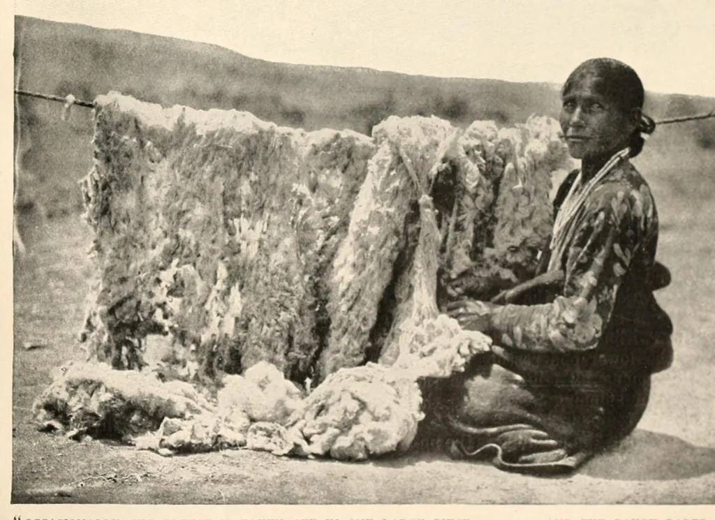 An illustration from The making of a Navajo blanket, 1902, leaf 11