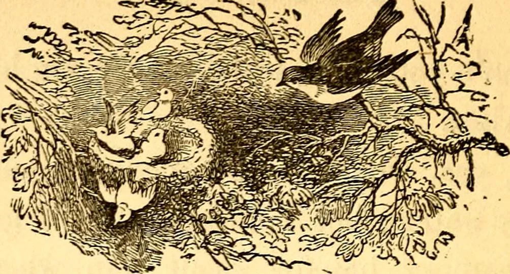 An illustration from Mamie's watchword, 1872, leaf 115