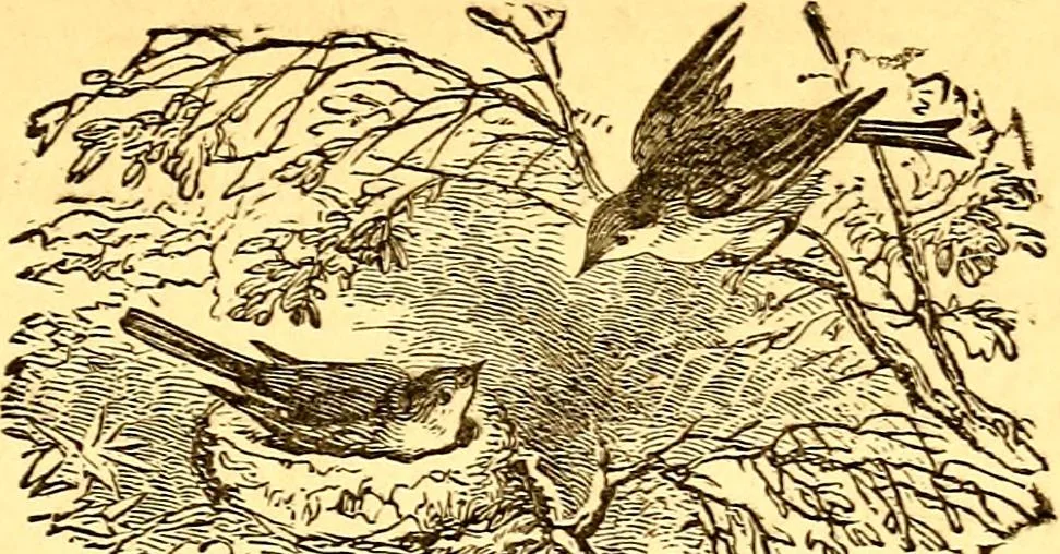 An illustration from Mamie's watchword, 1872, leaf 32