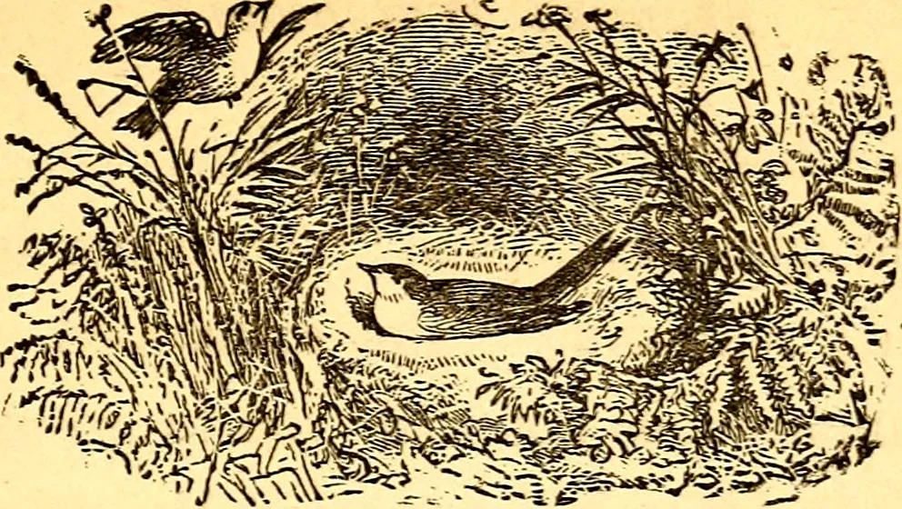 An illustration from Mamie's watchword, 1872, leaf 74