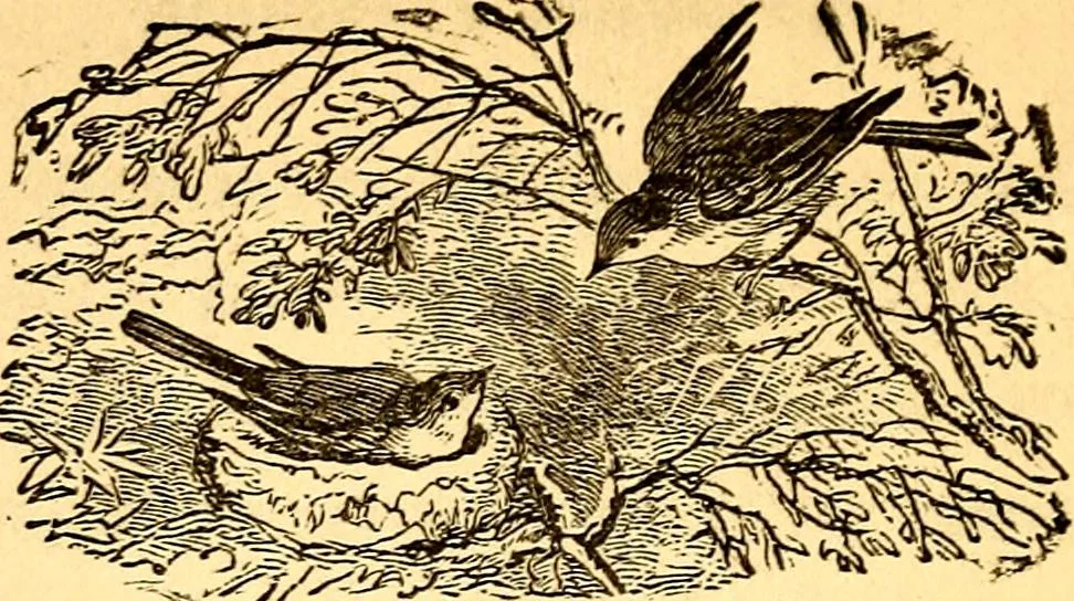 An illustration from Mamie's watchword, 1872, leaf 93