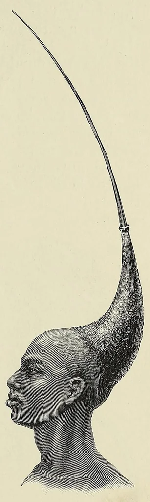 An illustration from Man and beast in eastern Ethiopia : from observations made in British East Africa, Uganda, and the Sudan, 1911, leaf 179