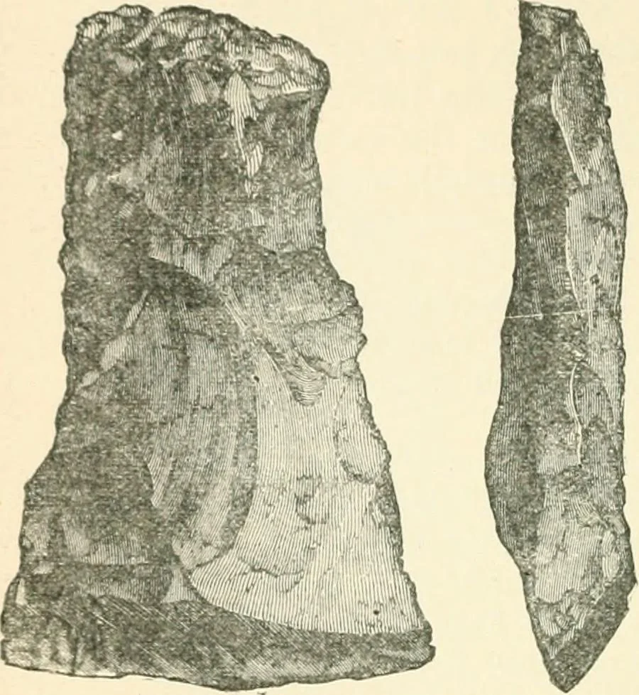 An illustration from Man before metals, 1902, leaf 113