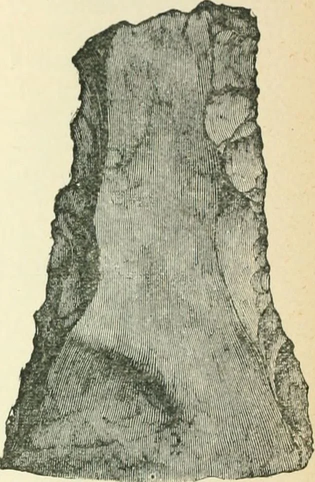 An illustration from Man before metals, 1902, leaf 113
