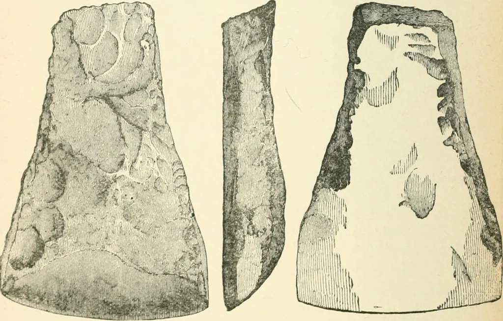 An illustration from Man before metals, 1902, leaf 113