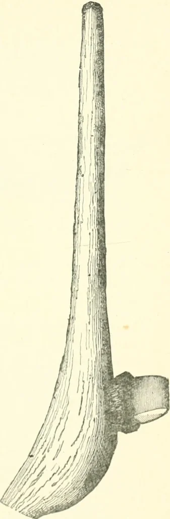 An illustration from Man before metals, 1902, leaf 122