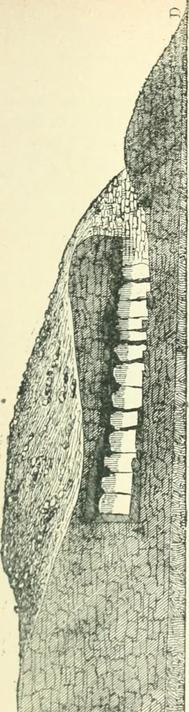 An illustration from Man before metals, 1902, leaf 160