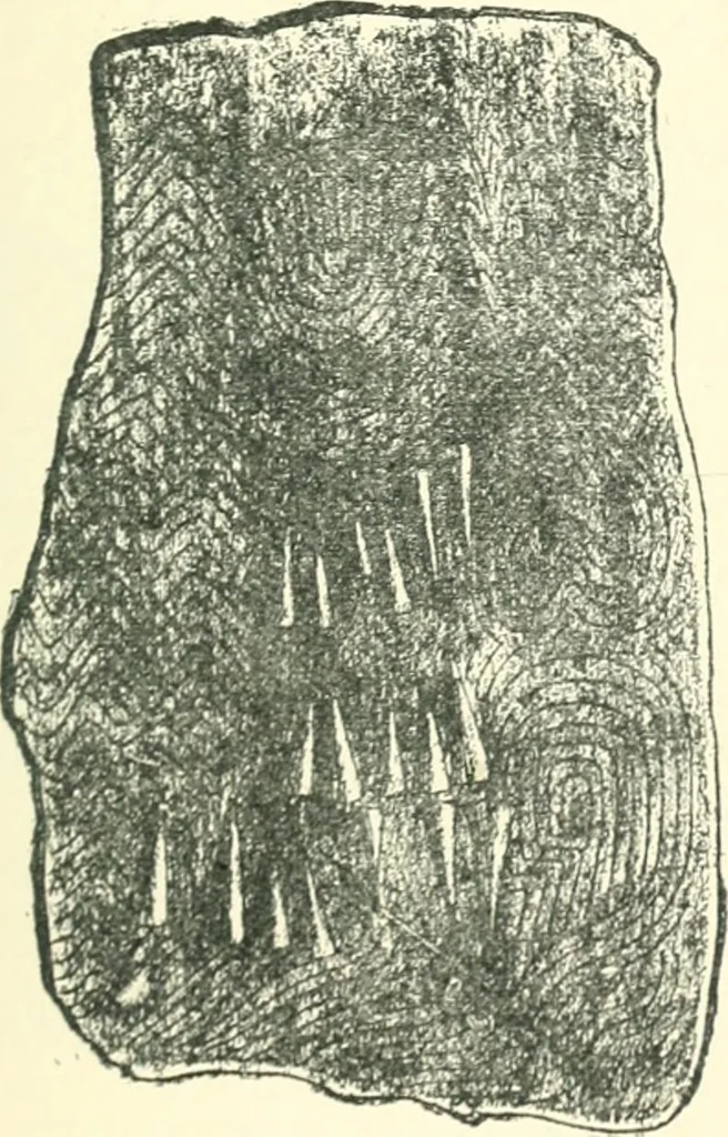 An illustration from Man before metals, 1902, leaf 162