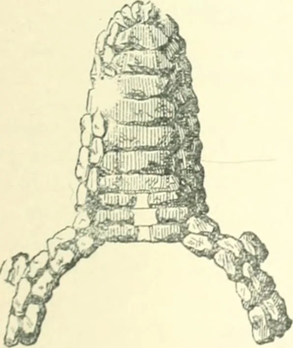 An illustration from Man before metals, 1902, leaf 170