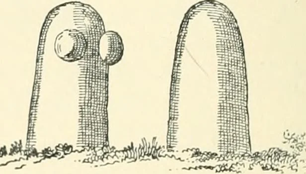 An illustration from Man before metals, 1902, leaf 171