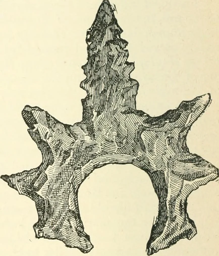 An illustration from Man before metals, 1902, leaf 175