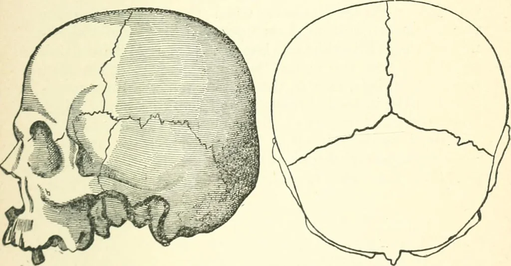 An illustration from Man before metals, 1902, leaf 184