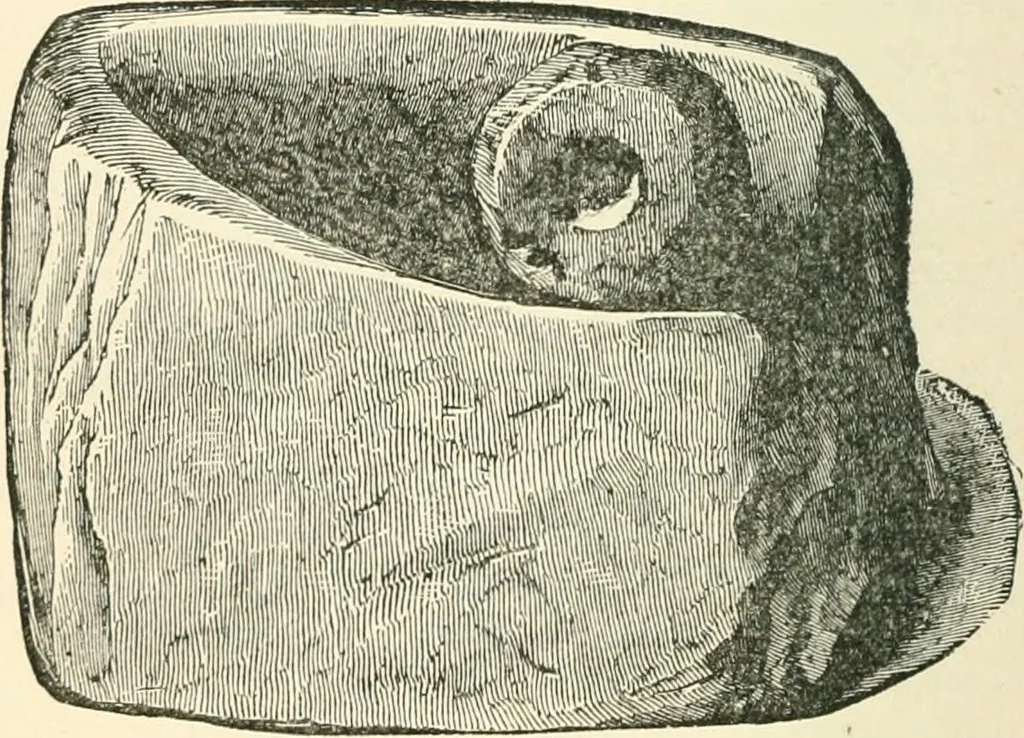 An illustration from Man before metals, 1902, leaf 213
