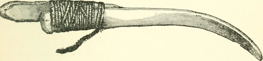 An illustration from Man before metals, 1902, leaf 224