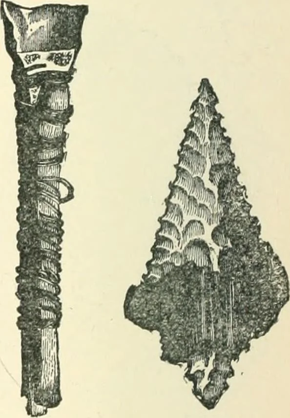 An illustration from Man before metals, 1902, leaf 237