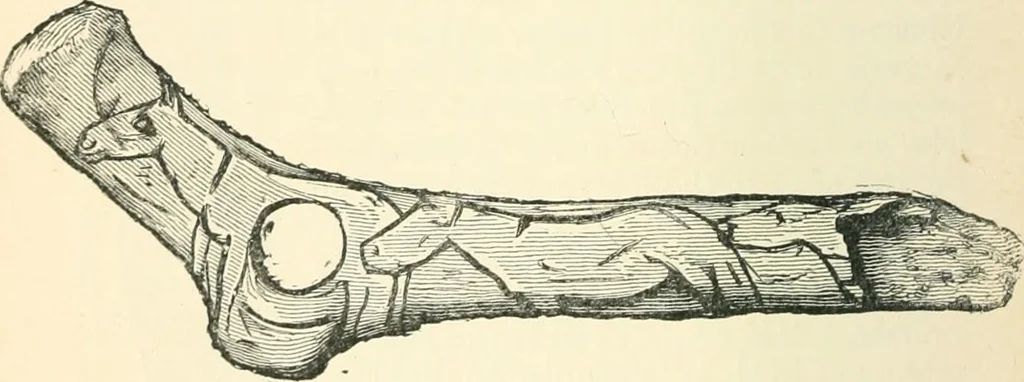 An illustration from Man before metals, 1902, leaf 241