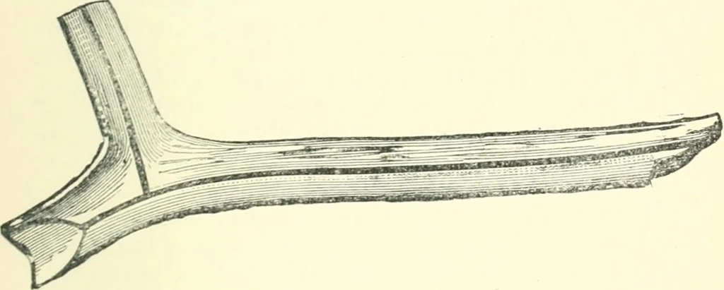 An illustration from Man before metals, 1902, leaf 242
