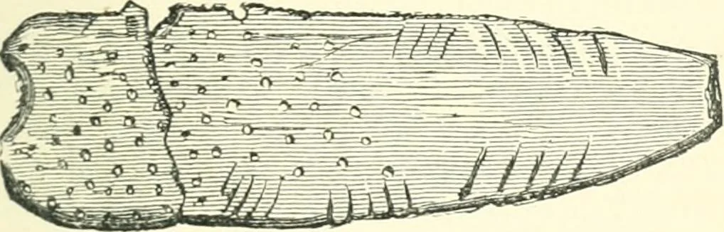 An illustration from Man before metals, 1902, leaf 244