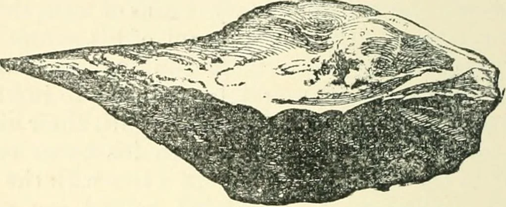 An illustration from Man before metals, 1902, leaf 247