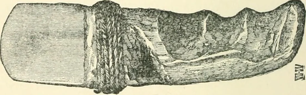 An illustration from Man before metals, 1902, leaf 249