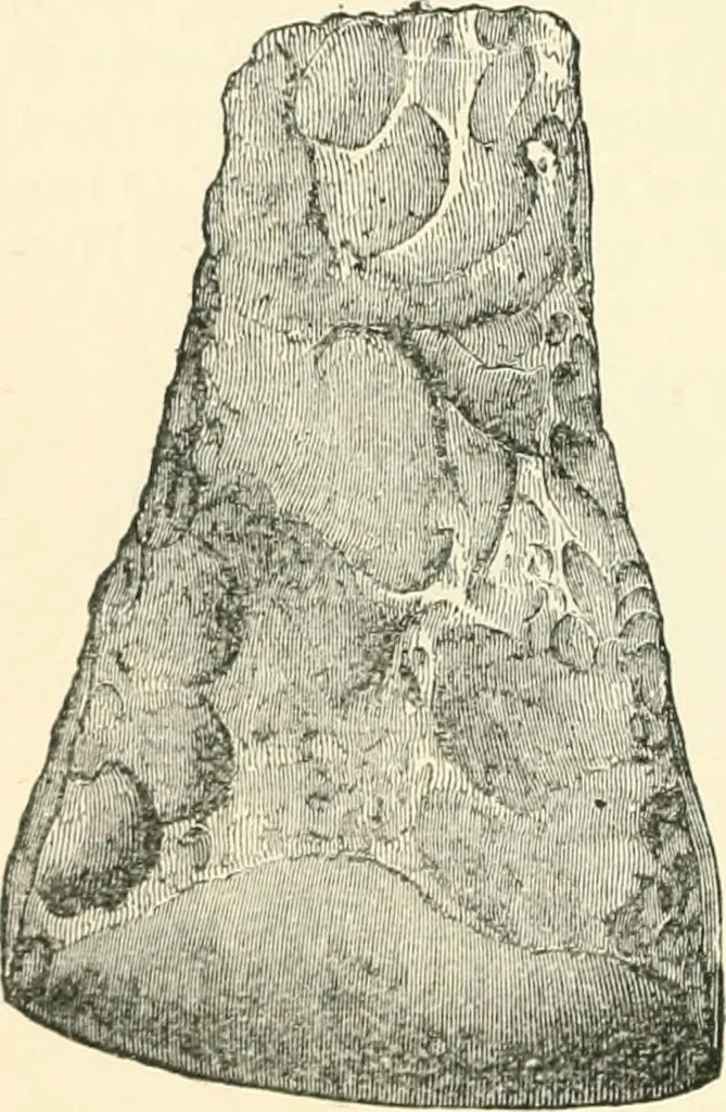 An illustration from Man before metals, 1902, leaf 251