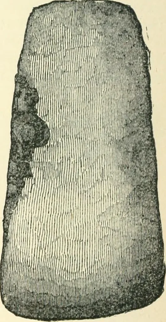 An illustration from Man before metals, 1902, leaf 251