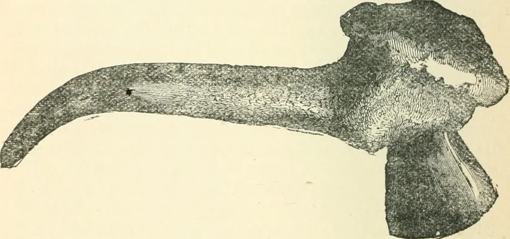 An illustration from Man before metals, 1902, leaf 253