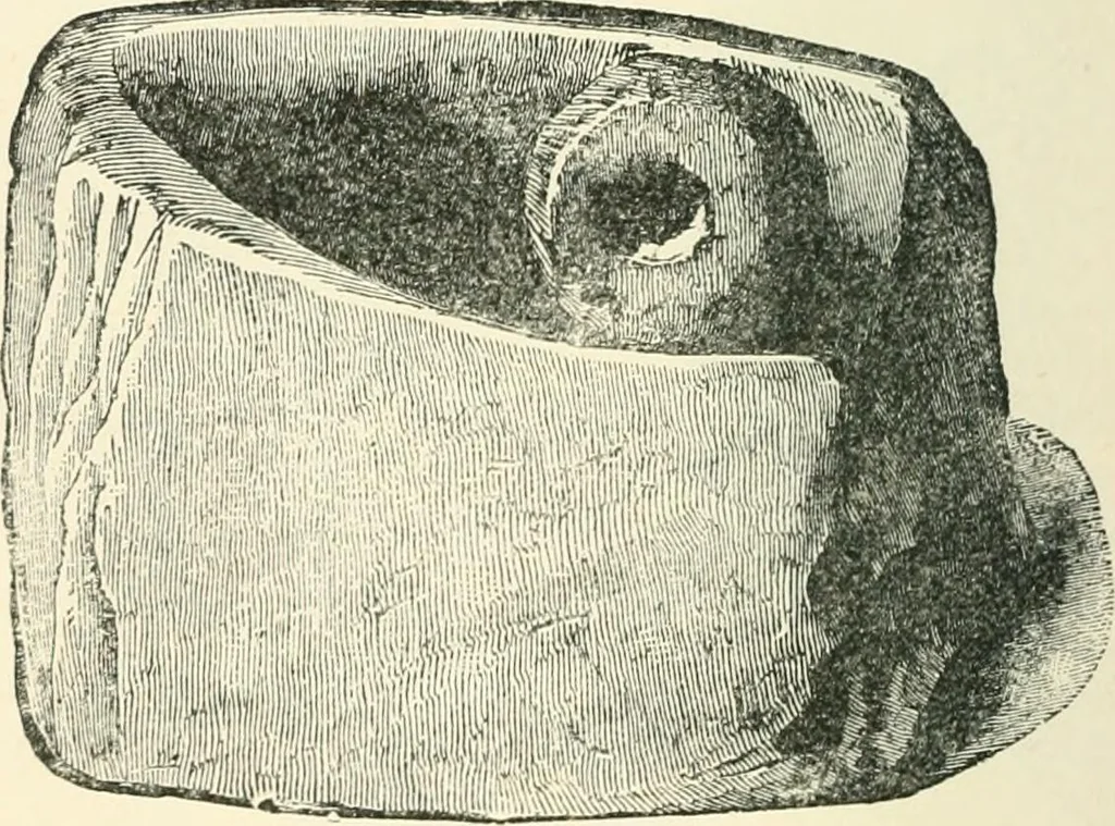 An illustration from Man before metals, 1902, leaf 259