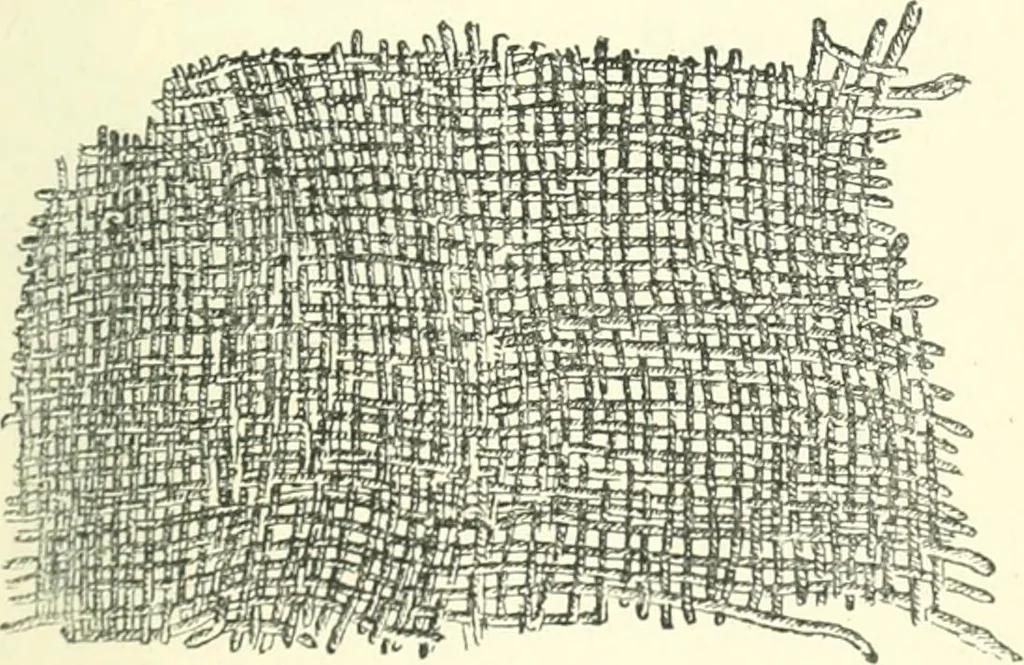 An illustration from Man before metals, 1902, leaf 260