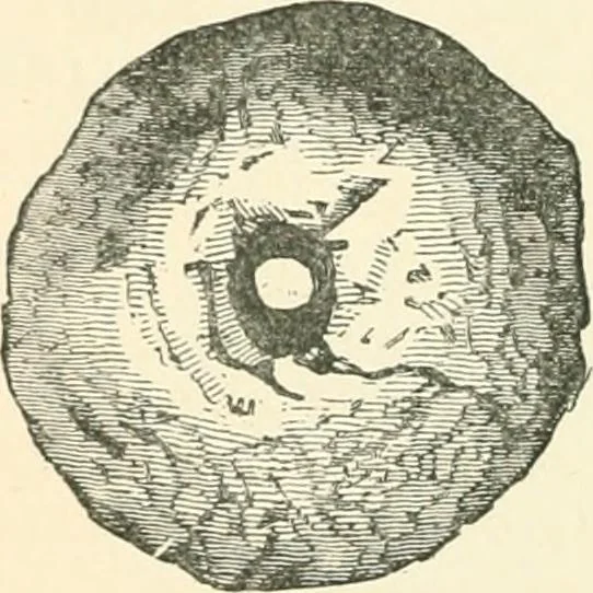 An illustration from Man before metals, 1902, leaf 261
