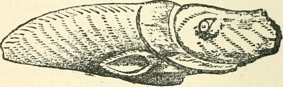 An illustration from Man before metals, 1902, leaf 305