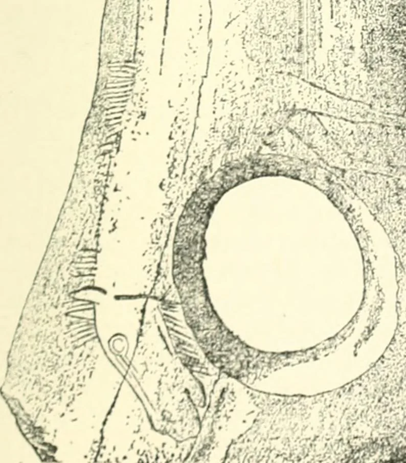An illustration from Man before metals, 1902, leaf 306