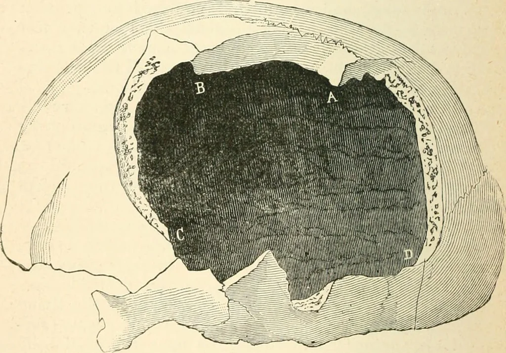 An illustration from Man before metals, 1902, leaf 347