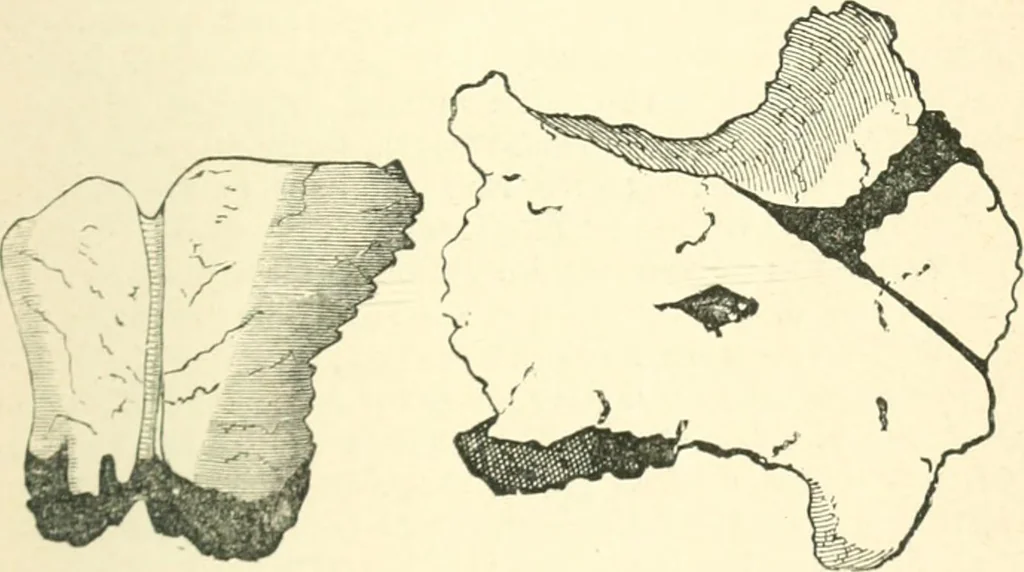 An illustration from Man before metals, 1902, leaf 348