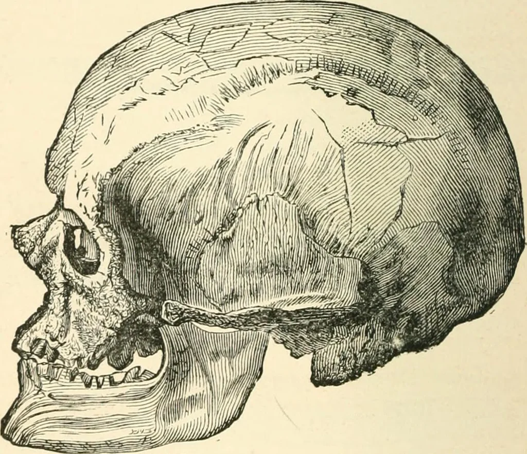 An illustration from Man before metals, 1902, leaf 365